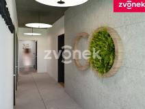 Prodej bytu 4+kk, Zlín, Pod Nivami, 168 m2