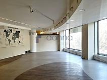 Pronájem obchodního prostoru, Praha - Nové Město, Václavské náměstí, 530 m2