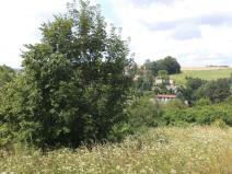 Prodej pozemku, Chotěvice, 3776 m2