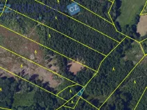 Prodej lesa, Vysočina, 26720 m2