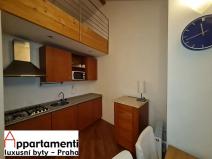 Prodej bytu 1+kk, Praha - Staré Město, Masná, 39 m2