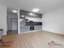 Pronájem bytu 1+kk, Plzeň - Východní Předměstí, Kartónová, 35 m2