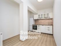 Pronájem bytu 1+kk, Otvovice, 86 m2