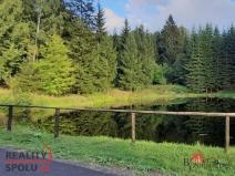 Prodej pozemku, Desná - Desná II, Na Moravě, 5094 m2