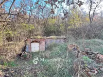 Prodej - jiné, Dyjákovičky, 226 m2