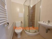 Pronájem bytu 1+1, Havířov - Šumbark, Opletalova, 28 m2