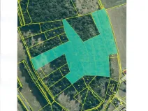 Prodej lesa, Běštín, 21632 m2