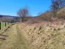 Prodej lesa, Běštín, 21632 m2