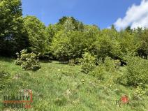 Prodej pozemku pro bydlení, Janov nad Nisou - Hraničná, 1161 m2
