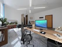 Pronájem kanceláře, Ostrava - Přívoz, Libušina, 29 m2
