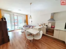 Prodej bytu 2+kk, Olomouc, Družební, 1900 m2