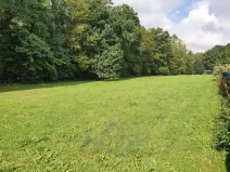 Prodej pozemku pro bydlení, Louňovice, Na Konci, 4297 m2