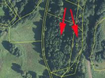 Prodej lesa, Bernartice, 9502 m2