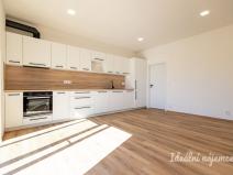 Pronájem bytu 3+kk, Hradec Králové - Pražské Předměstí, Albertova, 52 m2