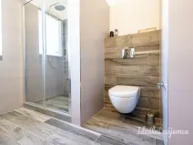 Pronájem bytu 3+kk, Hradec Králové - Pražské Předměstí, Albertova, 55 m2