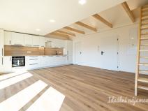 Pronájem bytu 3+kk, Hradec Králové - Pražské Předměstí, Albertova, 55 m2