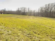 Prodej pozemku pro bydlení, Běstvina, 2532 m2