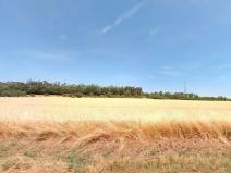 Prodej pozemku pro bydlení, Náměšť na Hané, 4746 m2