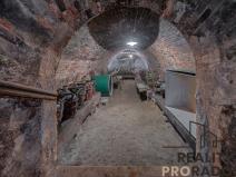 Prodej vinného sklepa, Strachotice, 450 m2