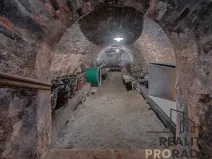 Prodej vinného sklepa, Strachotice, 450 m2