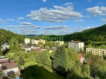 Prodej bytu 3+1, Děčín - Děčín IX-Bynov, Vítova, 76 m2