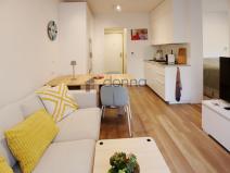 Pronájem bytu 1+kk, Praha - Holešovice, V háji, 39 m2