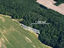 Prodej lesa, Moravské Bránice, 1290 m2