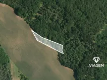 Prodej lesa, Moravské Bránice, 1290 m2