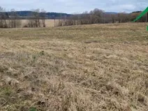 Prodej pole, Chodský Újezd - Neblažov, 387228 m2