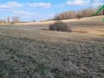 Prodej pole, Halže - Svobodka, 642424 m2