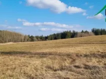Prodej pole, Halže - Svobodka, 141968 m2