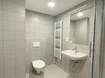 Pronájem bytu 1+kk, Olomouc, U solných mlýnů, 41 m2