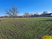 Prodej pole, Štěchov, 4979 m2