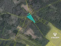 Prodej podílu lesa, Račice, 2502 m2