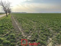 Prodej podílu 5/6 pole, Újezd, 46749 m2