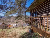 Prodej chaty, Líšný - Líšný 2.díl, 19 m2