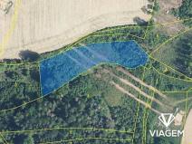 Prodej lesa, Vysoké Mýto, 5791 m2