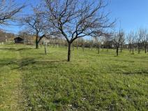 Prodej sadu/vinice, Strážnice, 2139 m2