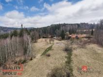 Prodej louky, Rokytnice nad Jizerou - Dolní Rokytnice, 3901 m2