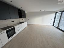 Pronájem bytu 4+kk, Most, Šafránová, 97 m2