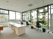 Pronájem kanceláře, Praha - Chodov, V parku, 610 m2