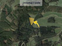 Prodej louky, Pracejovice - Makarov, 1384 m2