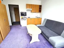 Pronájem bytu 1+kk, Písek, Dr. M. Horákové, 20 m2