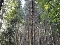 Prodej pozemku, Útěchov, 50152 m2