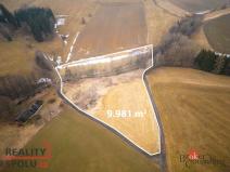 Prodej pozemku pro bydlení, Pěčín, 9989 m2