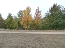 Pronájem zahrady, Znojmo, Leska Horní, 693 m2