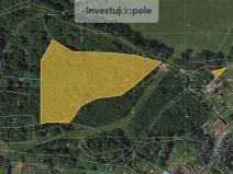 Prodej lesa, Valkeřice, 10230 m2