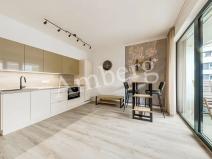 Pronájem bytu 1+kk, Praha - Karlín, U Sluncové, 33 m2