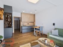 Pronájem bytu 1+kk, Plzeň - Jižní Předměstí, Železná, 31 m2