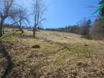 Prodej komerčního pozemku, Dlouhý Újezd, 3343 m2